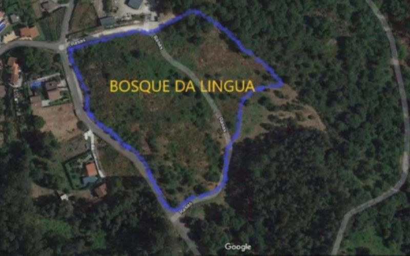 O Bosque da Lingua toma forma cun anfiteatro en Couso (Gondomar)