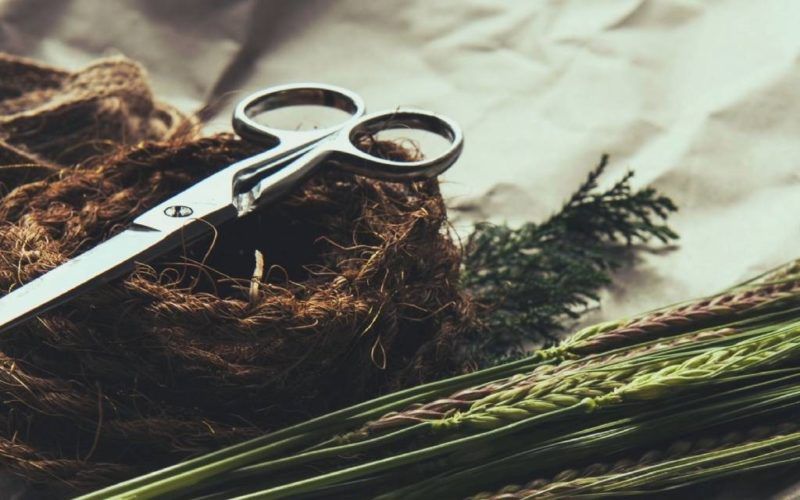 Mostra de Produtos de Covelo