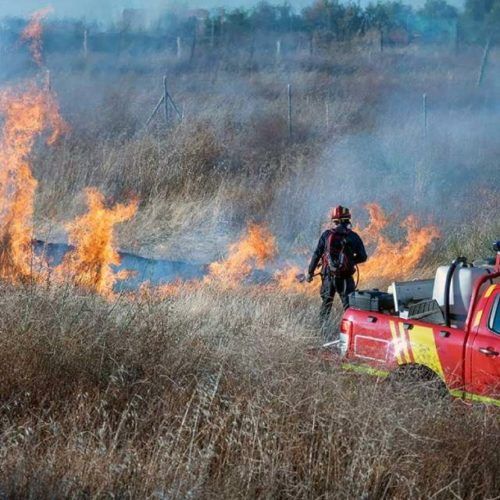 O Pereiro aprobou un plan contra os lumes forestais