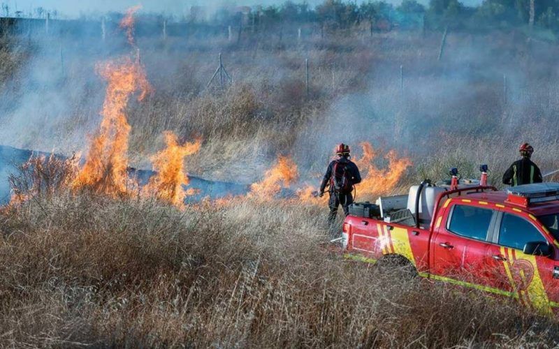 O Pereiro aprobou un plan contra os lumes forestais