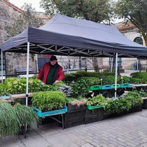 “Nova Feira” da Cañiza se estreará o 17 de xullo