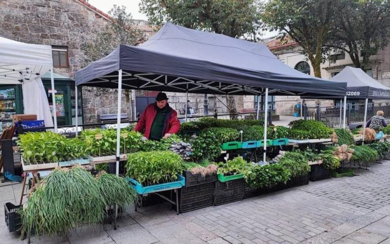 “Nova Feira” da Cañiza se estreará o 17 de xullo