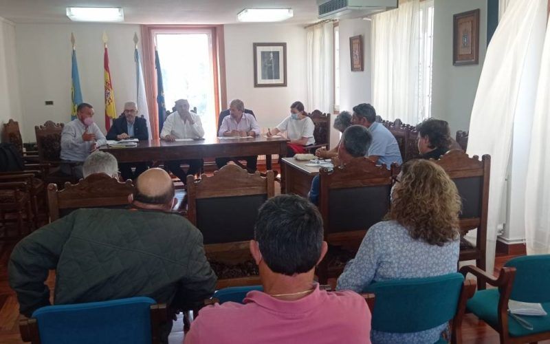 Arbo reitera o seu rexeite á Liña de Alta Tensión