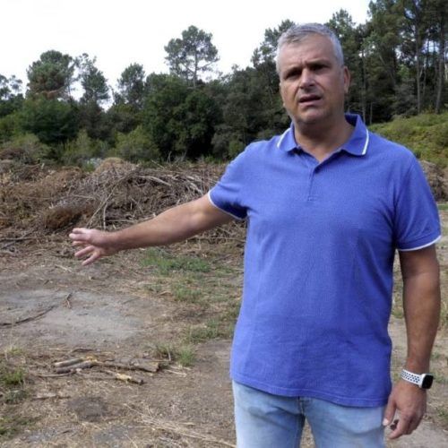 ACiP exise a retirada dos restos de masa arbórea en Pardellas