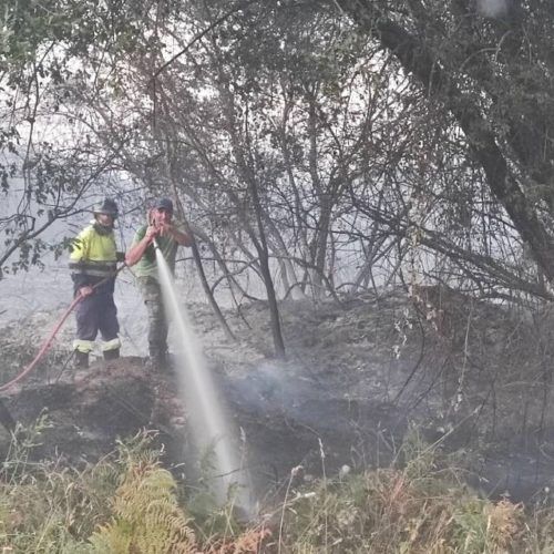 Controlado o incendio da Cañiza