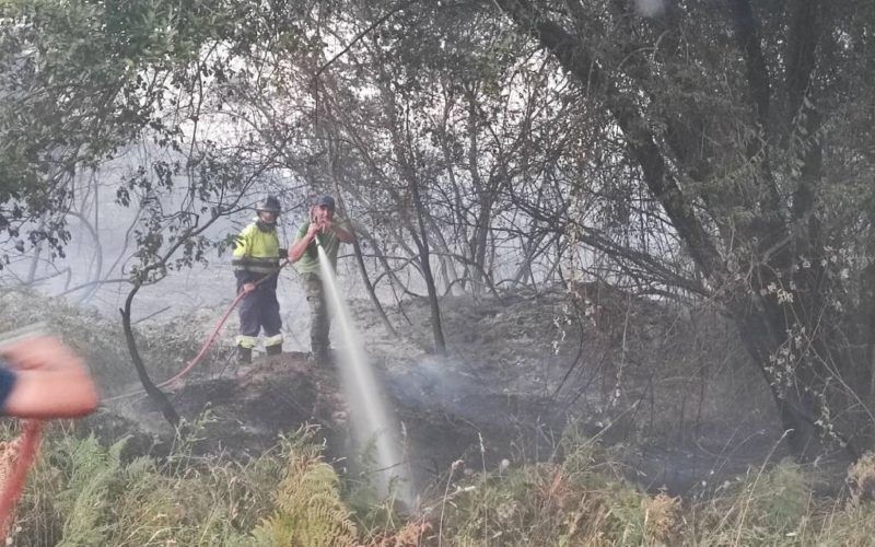Controlado o incendio da Cañiza