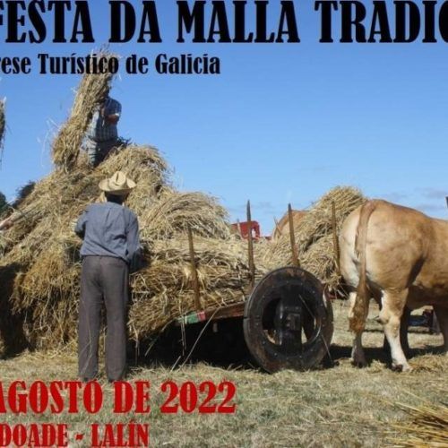 Dez poderosas razóns para asistir á XXIII malla tradicional de Doade (Lalín)