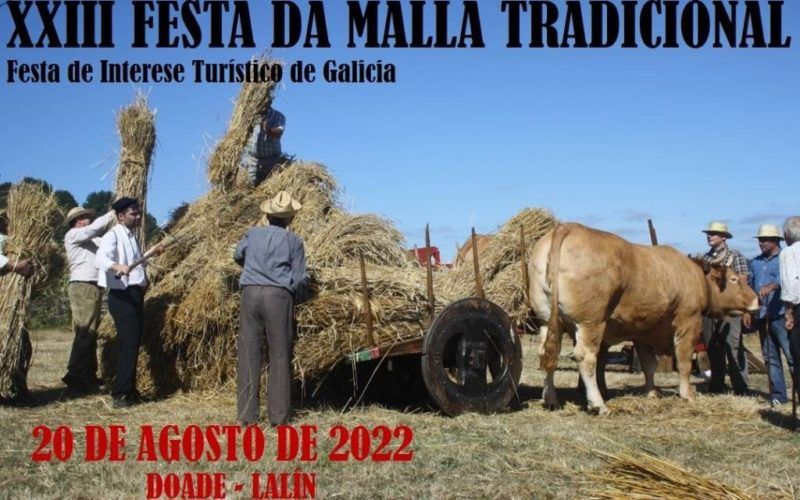 Dez poderosas razóns para asistir á XXIII malla tradicional de Doade (Lalín)