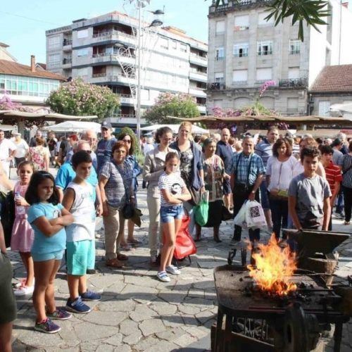 XIV edición da Feira Tradicional dos Remedios en Ponteareas