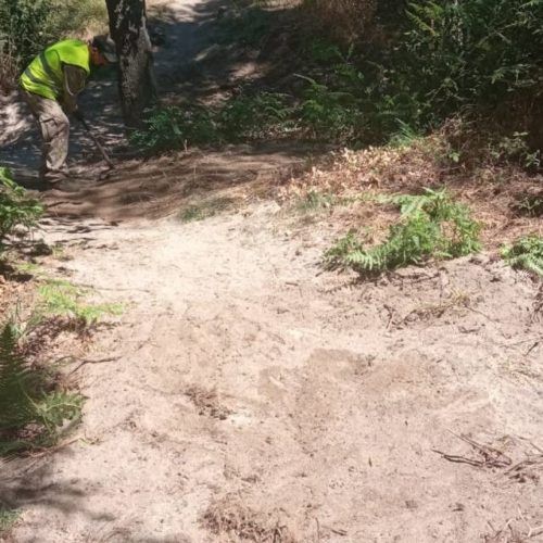 Concello de Ponteareas retira restos do paseo e da ponte de madeira do Tea