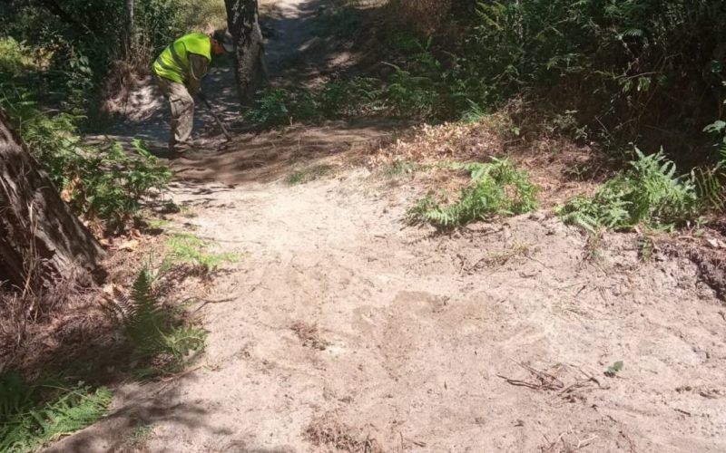 Concello de Ponteareas retira restos do paseo e da ponte de madeira do Tea