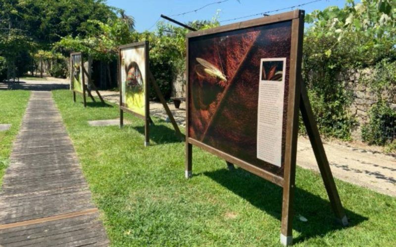 Fundação Serralves no Festival Internacional de Jardins de Ponte de Lima