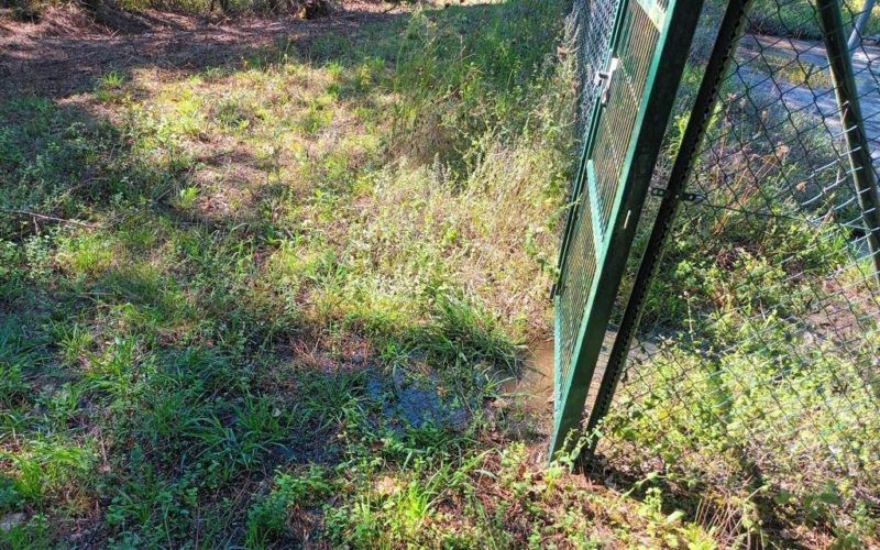 ACiP demanda solución urxente para vertidos do Río Tea