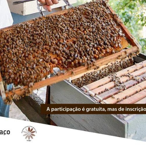 I Jornadas de Apicultura em Melgaço