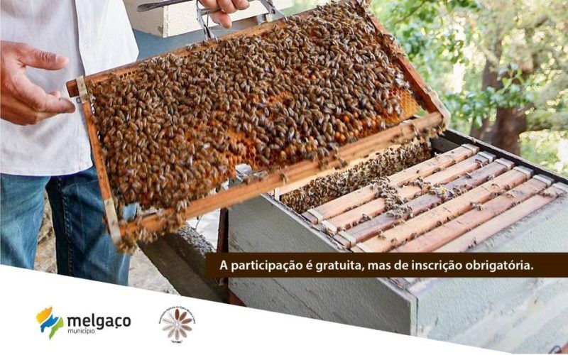 I Jornadas de Apicultura em Melgaço