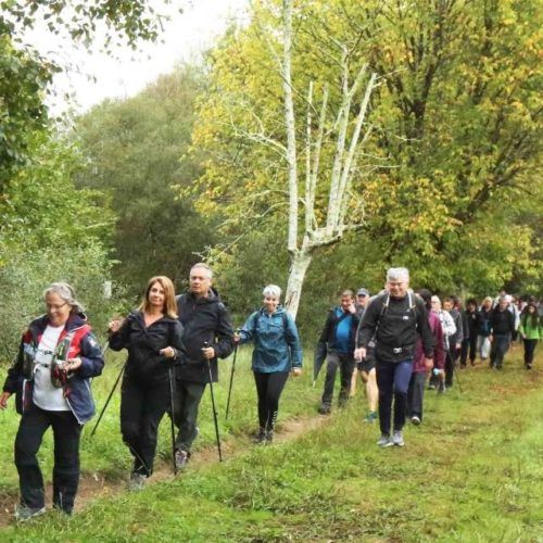 Máis de 200 persoas na andaina solidaria Ponteareas 25km