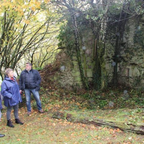 A Xunta de Galicia realiza traballos de limpeza, roza e documentación en San Xoán de Camba en Castro Caldelas