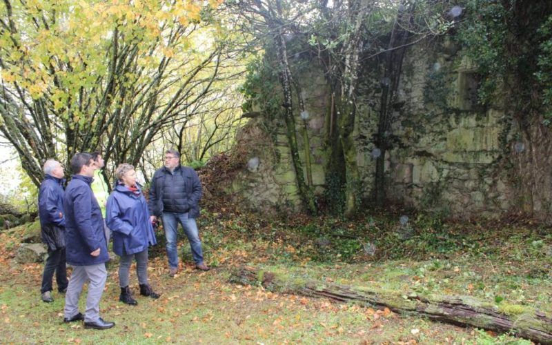 A Xunta de Galicia realiza traballos de limpeza, roza e documentación en San Xoán de Camba en Castro Caldelas