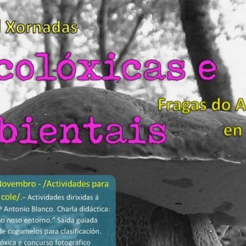 XXVIII Xornadas Micolóxicas e Ambientais no Covelo