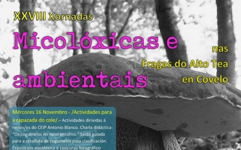 XXVIII Xornadas Micolóxicas e Ambientais no Covelo