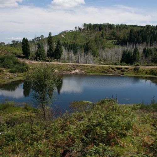 Paredes de Coura, Prémio de Mérito para Paisagem Protegida de Corno do Bico