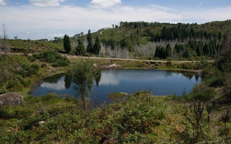 Paredes de Coura, Prémio de Mérito para Paisagem Protegida de Corno do Bico