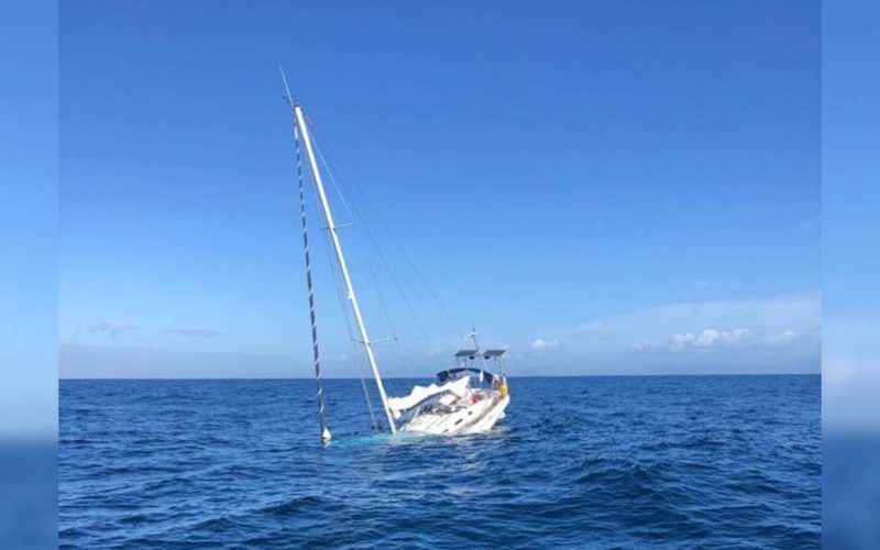 Barco atacado por orcas afunda-se ao largo de Viana