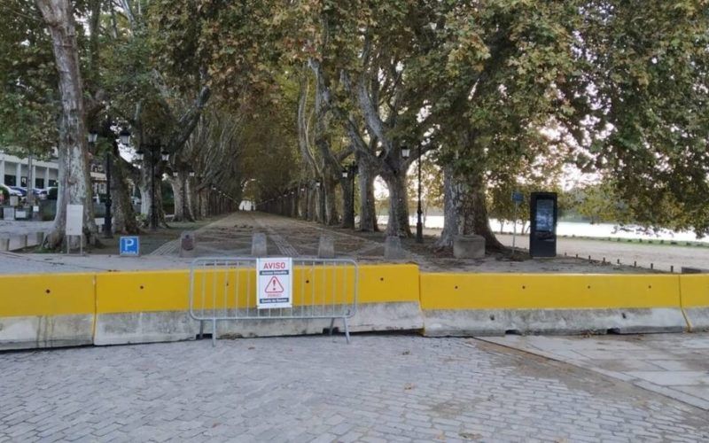 Avenida dos Plátanos em Ponte de Lima interdita ao público