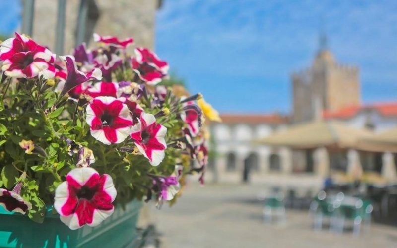 Caminha, no topo do ranking dos melhores municípios para viver