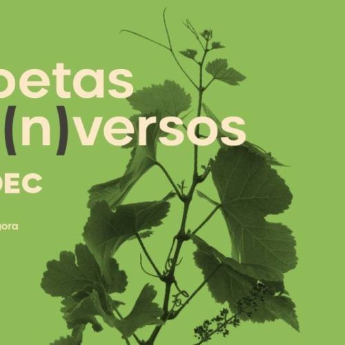 A portuguesa Filipa Leal e a galega Nuria Vil, novas protagonistas do ciclo Poetas Di(n)versos na Coruña