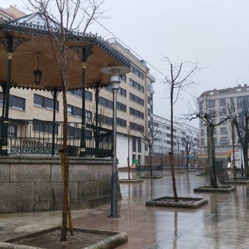 O Porriño planta 100 novas árbores no seu centro urbano