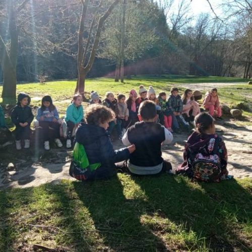 Sensibilidade medioambiental do alumnado do CEIP Antonio Rodríguez Blanco no Covelo