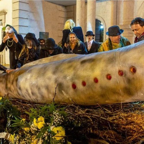 A lamprea tinguirá dun “loito moi divertido” as rúas de Salvaterra