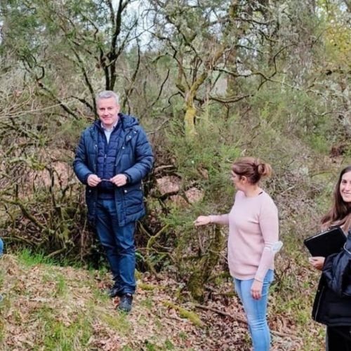 A Cañiza aproba a expropiación dos terreos da Cidade Castrexa de Grades