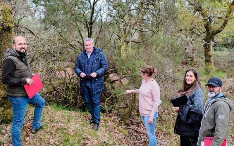 A Cañiza aproba a expropiación dos terreos da Cidade Castrexa de Grades