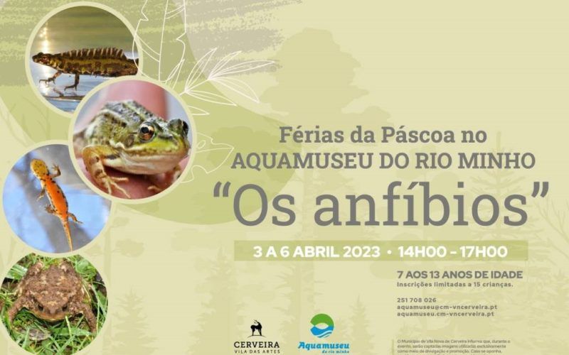 Vida dos anfíbios é tema para Férias da Páscoa no Aquamuseu do rio Minho