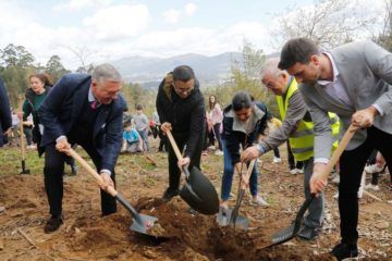 Mos reforesta o municipio con mil árbores