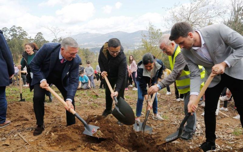 Mos reforesta o municipio con mil árbores