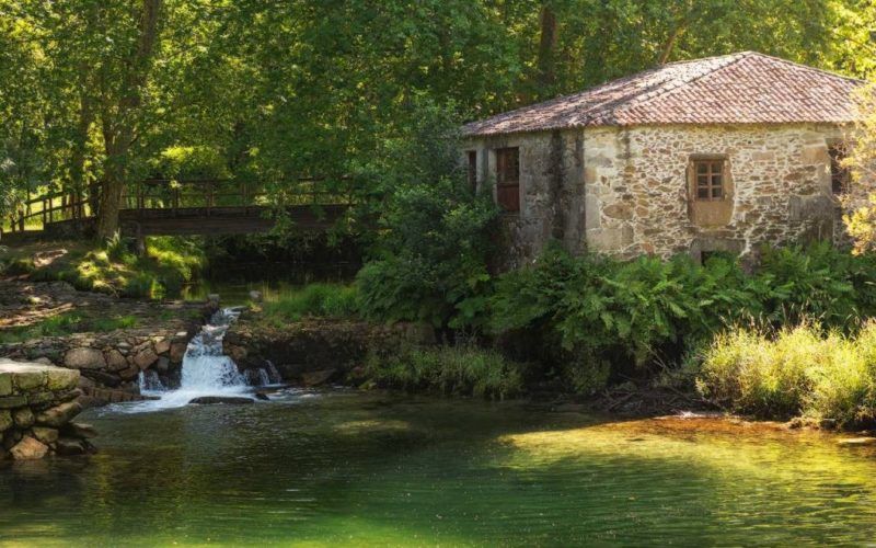 O Rosal estrea grupo de voluntariado de limpeza da natureza