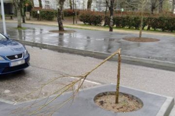 Identificado autor de actos vandálicos en Ponteareas