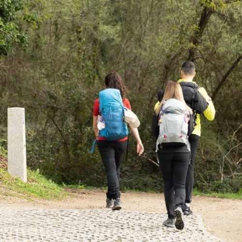 O Camiño Portugués por Tui bateu rexistros en febreiro