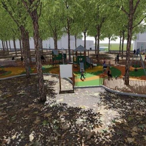 Renovación da Carballeira do Cacharado na Cañiza