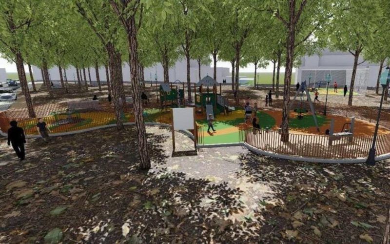 Renovación da Carballeira do Cacharado na Cañiza