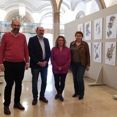 A mostra do herbario de Rosalía de Castro será exhibida en concellos pontevedreses