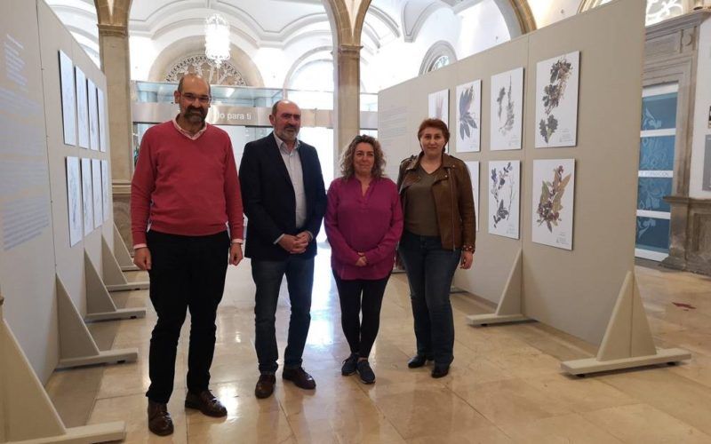 A mostra do herbario de Rosalía de Castro será exhibida en concellos pontevedreses