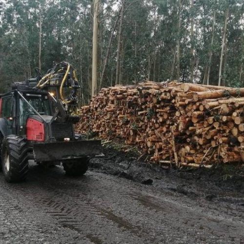 Nova ordenanza de tala de madeira na Cañiza
