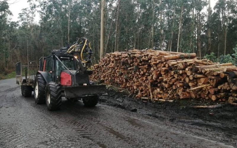 Nova ordenanza de tala de madeira na Cañiza