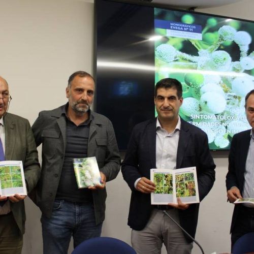 Presentación en Ourense do monográfico sobre sintomatoloxía das enfermidades no viñedo