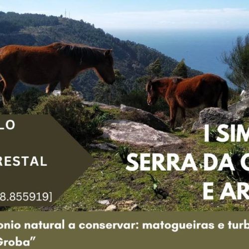 “I Simposio Serra da Groba e Argallo” en Oia