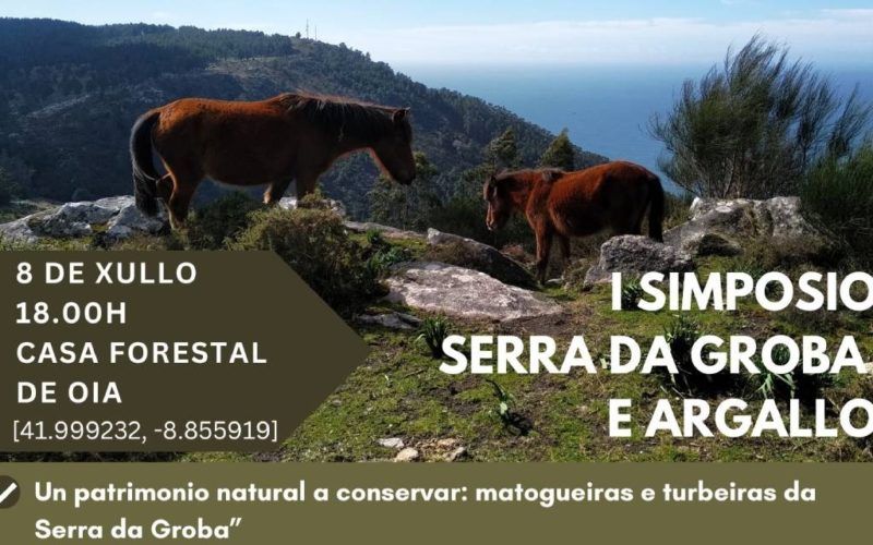 “I Simposio Serra da Groba e Argallo” en Oia